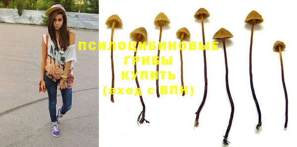 дурь Козловка