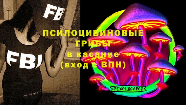 дурь Козловка