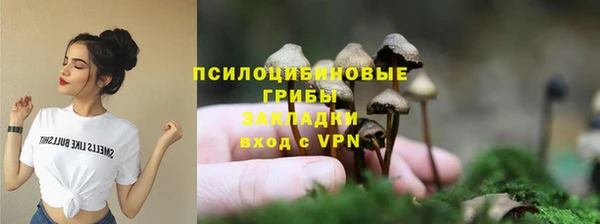 твердый Козельск