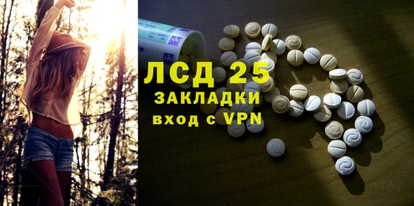 твердый Козельск