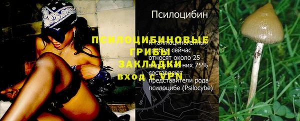 твердый Козельск