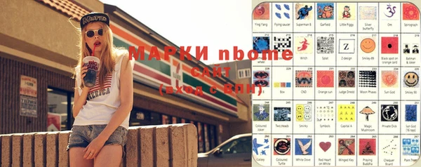 твердый Козельск