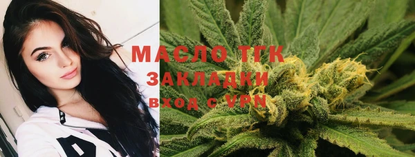 твердый Козельск