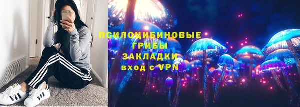 дурь Козловка