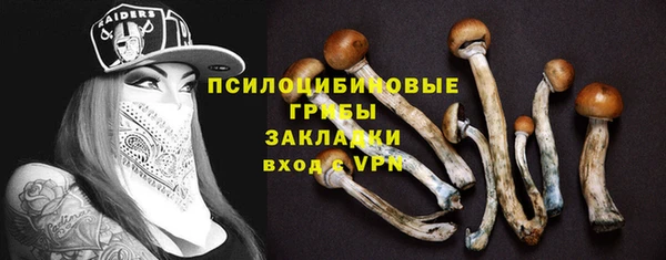 дурь Козловка