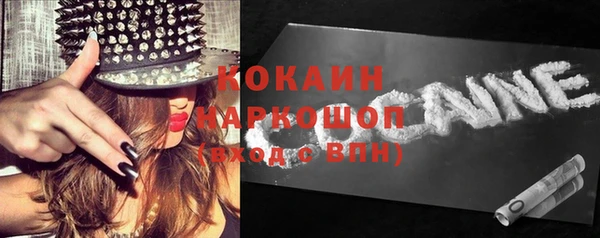 твердый Козельск