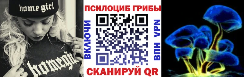 Псилоцибиновые грибы Cubensis  Купить закладки  Харовск 